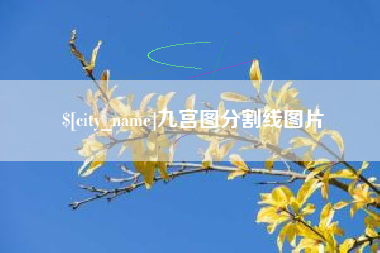 哈密九宫图分割线图片