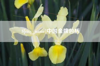 哈密中国金牌包括