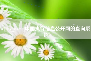 哈密中国执行信息公开网的查询系统