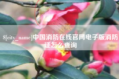 哈密中国消防在线官网电子版消防证怎么查询