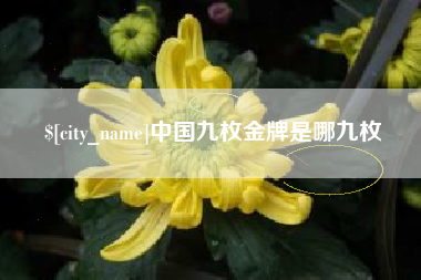 哈密中国九枚金牌是哪九枚