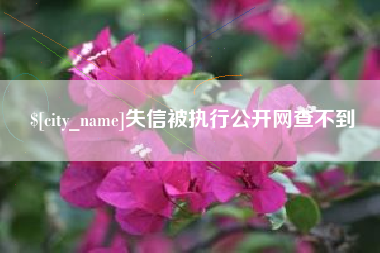 哈密失信被执行公开网查不到