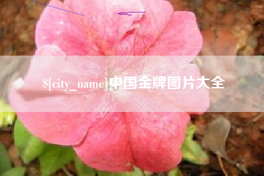 哈密中国金牌图片大全