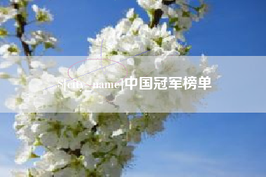 哈密中国冠军榜单