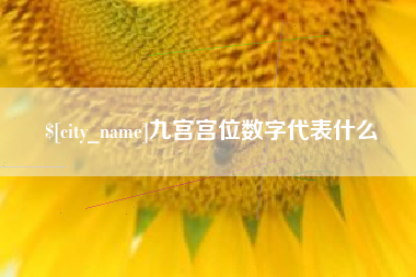 哈密九宫宫位数字代表什么