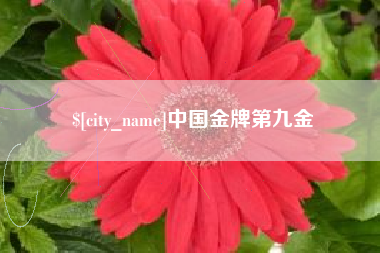 哈密中国金牌第九金