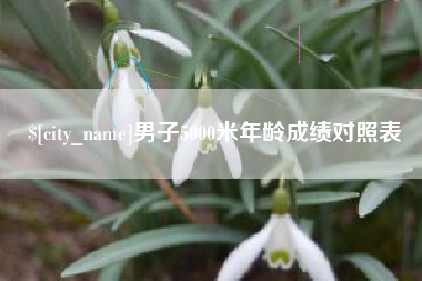 哈密男子5000米年龄成绩对照表