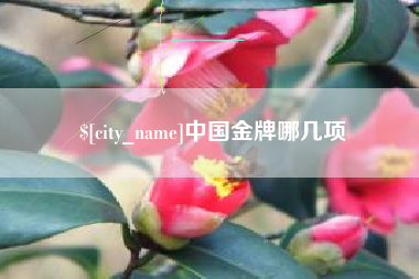 哈密中国金牌哪几项