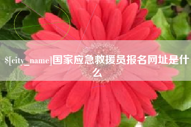哈密国家应急救援员报名网址是什么
