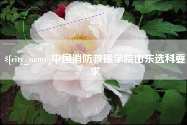 哈密中国消防救援学院山东选科要求