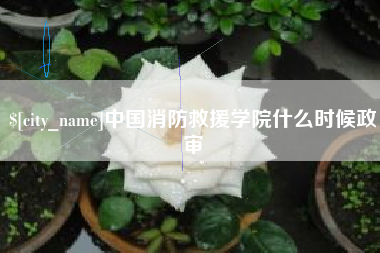 哈密中国消防救援学院什么时候政审