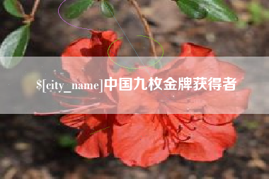 哈密中国九枚金牌获得者