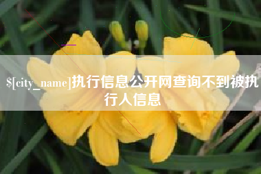 哈密执行信息公开网查询不到被执行人信息