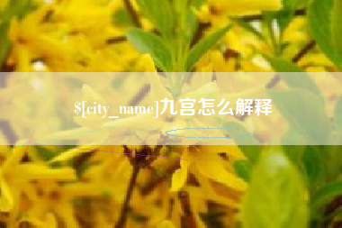 哈密九宫怎么解释