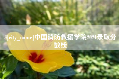 哈密中国消防救援学院2021录取分数线