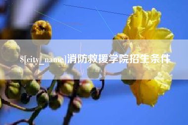 哈密消防救援学院招生条件