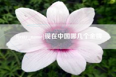 哈密现在中国哪几个金牌
