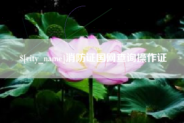 哈密消防证国网查询操作证