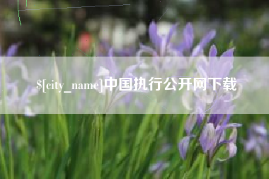 哈密中国执行公开网下载