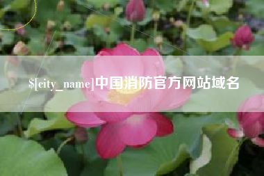 哈密中国消防官方网站域名