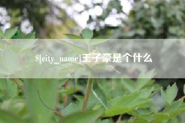 哈密王子豪是个什么