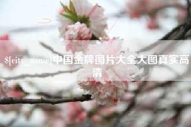 哈密中国金牌图片大全大图真实高清