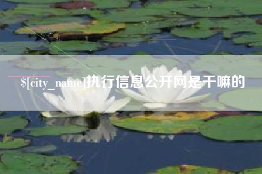 哈密执行信息公开网是干嘛的
