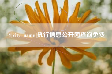 哈密执行信息公开网查询免费